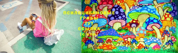 стаф Алексеевка