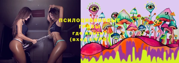 синтетический гашиш Алексин
