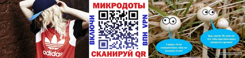 Галлюциногенные грибы Magic Shrooms  Завитинск 